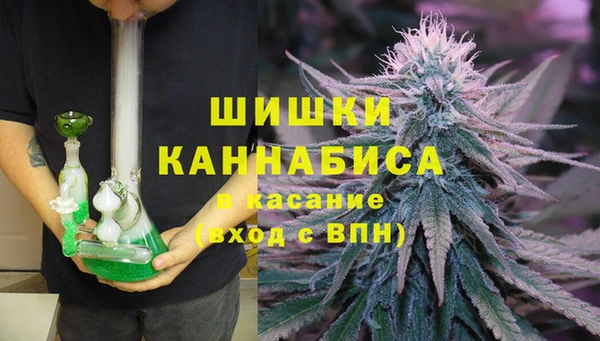 стаф Майский