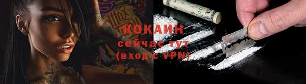 стаф Майский