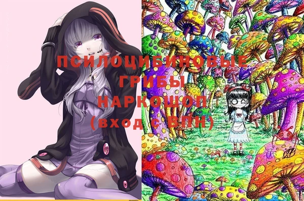 спиды Лиски