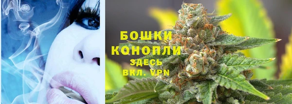 стаф Майский