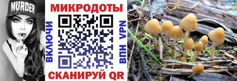 Галлюциногенные грибы Psilocybine cubensis  наркошоп  Ханты-Мансийск 