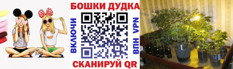 Канабис сатива Ханты-Мансийск